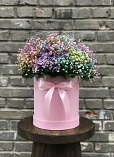 Цветочная композиция из Гипсофила и Розы в шляпной коробке #REPLACE_PRED# Зырянском
