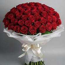 Букет 101 Красная роза Блэк Мэджик в Зырянском