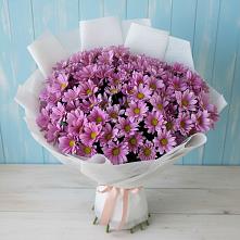 Букет цветов из:  Хризантемы в Зырянском