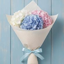 Букет цветов из:  Гортензия в Зырянском