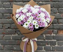 Букет цветов из:  Хризантемы в Зырянском