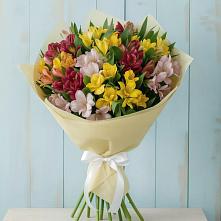 Букет цветов из:  Альстромерии в Зырянском