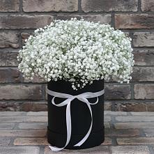 Цветочная композиция из Гипсофила в шляпной коробке в Зырянском