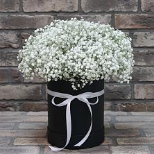 Цветочная композиция из Гипсофила в шляпной коробке в Зырянском