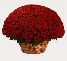 Премиум букет из: Розы в Зырянском