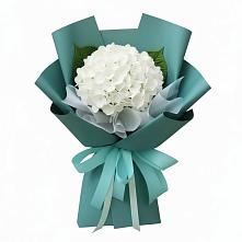Букет цветов из:  Гортензия #REPLACE_PRED# Зырянском